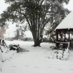 kzn snow