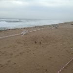 murder victim buried at durban beach