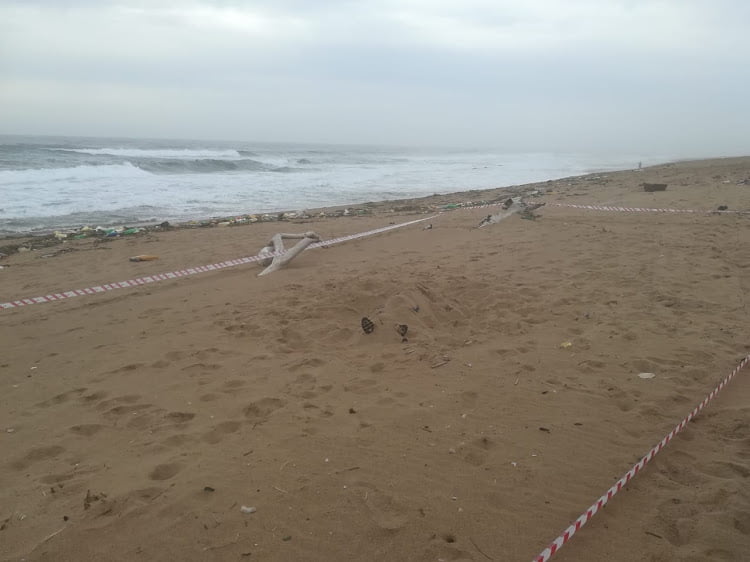 murder victim buried at durban beach