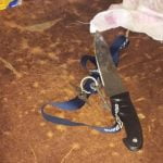 phoenix girl stabbed by parents