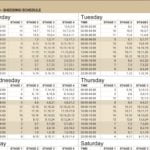 Durban load shedding schedule