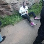 train surfer electrocuted in shallcross