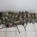 FB_IMG_1552153700430