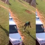 man attacks police and gets shot in mpumalanga