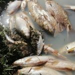 IMG-20190816-WA0044.width-800