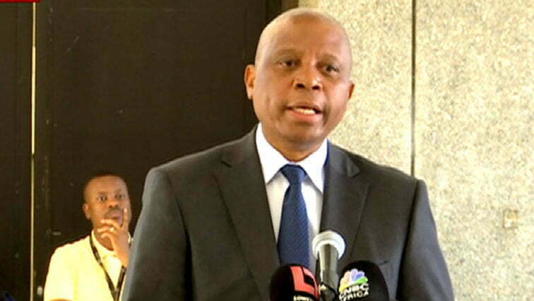 herman mashaba resignation