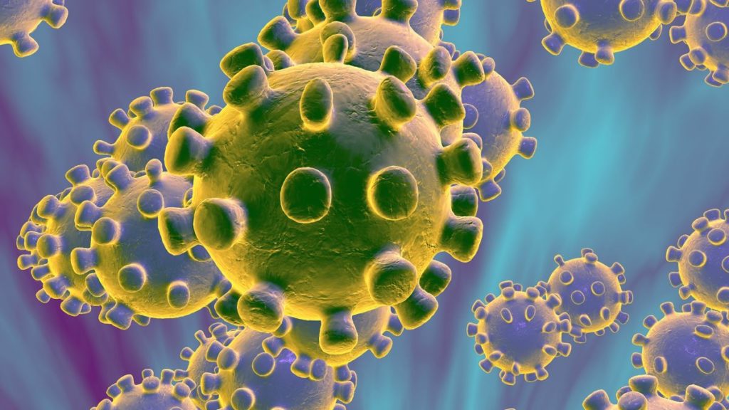 what is coronavirus