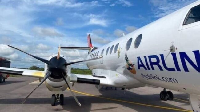 SA Airlink bird strike